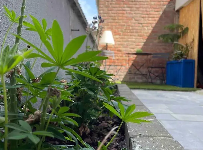 Sfeervolle Vakantiewoning Aan Zee Appartement Ostende